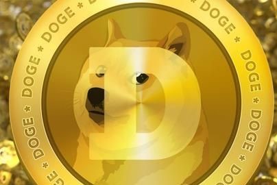 DOGE比想象中要强大，动物系之间竞争才刚刚开始