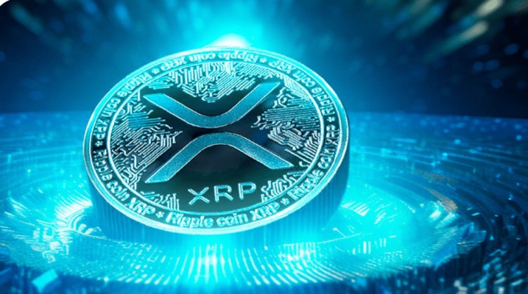 XRP鲸鱼交易和价格变动