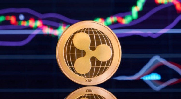 [埃莉诺EYpk.verse]Ripple 总裁表示：这个‘加密货币冬天’