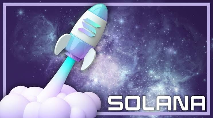 SOLANA2024激增持有者恭喜