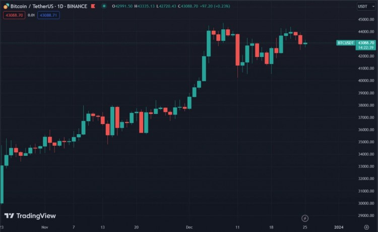 比特币价格保持稳定为山寨币欢呼圣诞