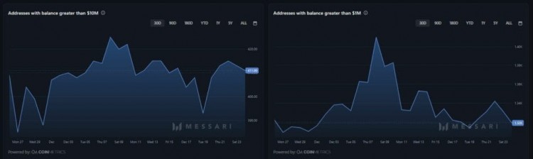 XRP鲸鱼可能会导致市场大幅下跌