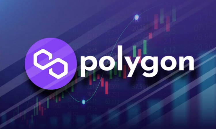 POLYGONMATIC为潜在牛市奠定了基础