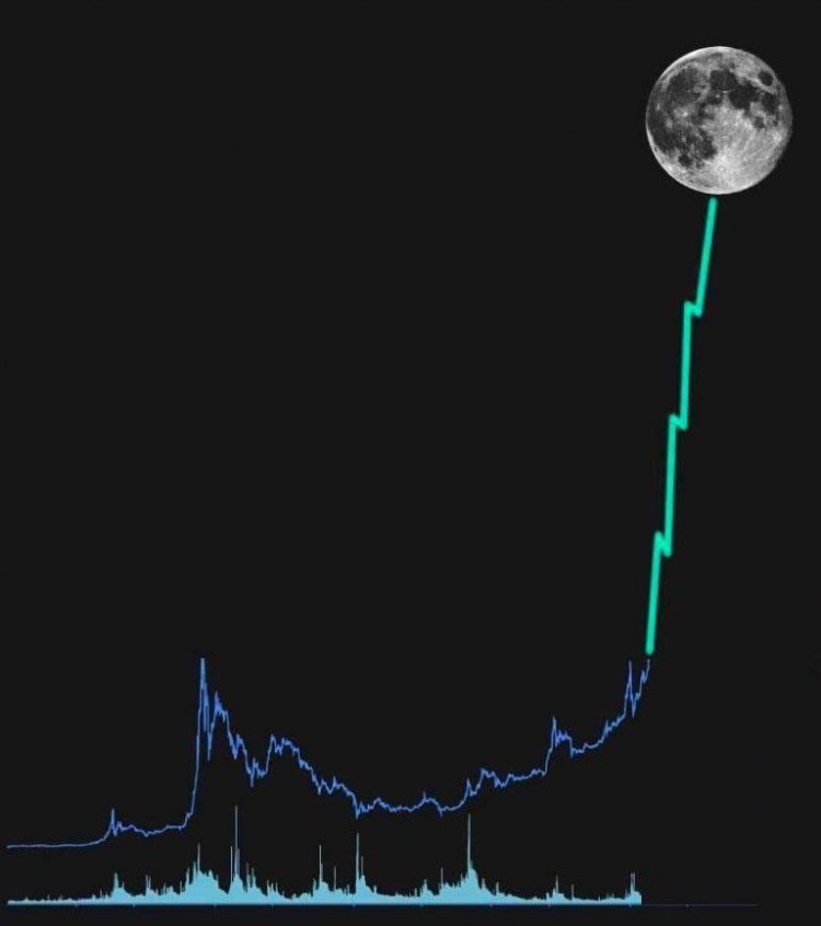 NFP6600利润庆祝成功