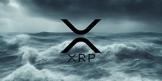 XRP 价格预测：2024年1.56美元以上！2025-2050年更激动人心的增长预测！Defidr