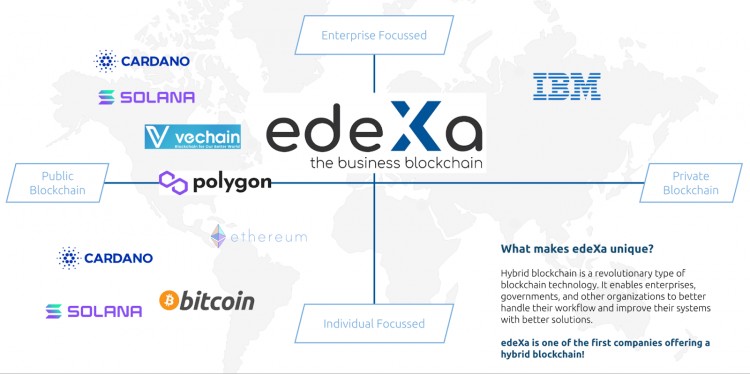 EDEXA区块链评论最适合商业的区块链2024年您应该购买EDX吗