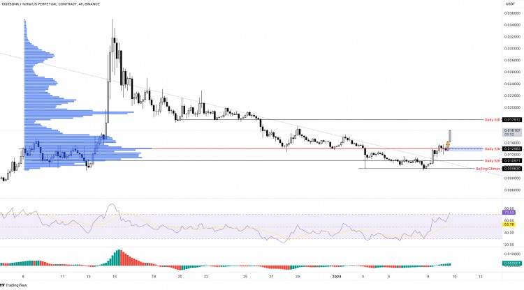 尽管对 ETF 存在担忧，但 Bonk Inus 的价格仍上涨了 24%