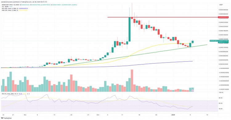 BONK 价格预测：BONK 24 小时内飙升 32%