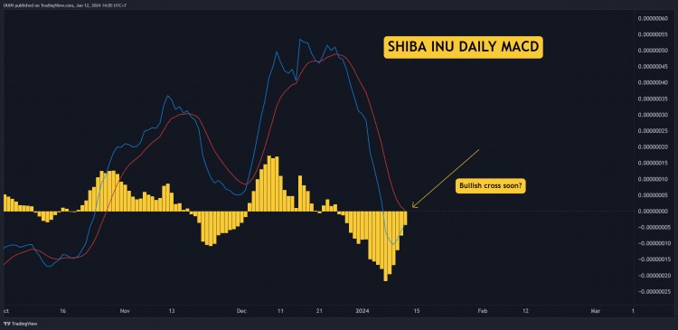 SHIB面临严峻阻力但会爆炸吗周末要注意的三件事SH