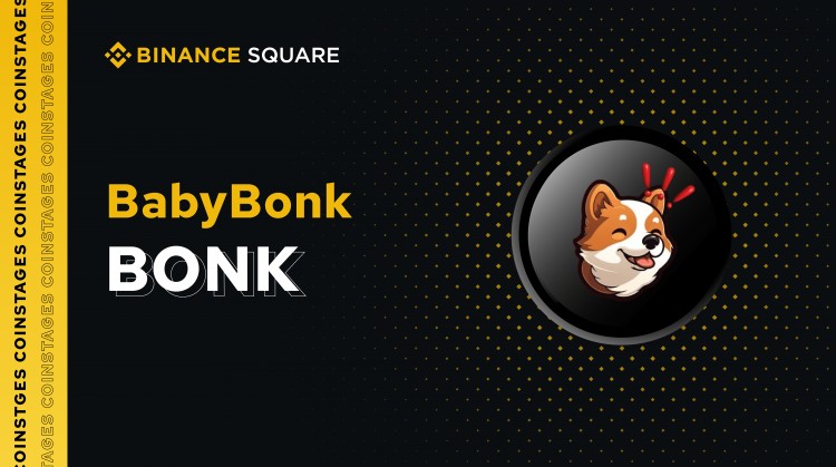 BabyBonk 在一个月内从 55,000 美元 MCAP 到 600 万美元 MCAP 的非凡旅