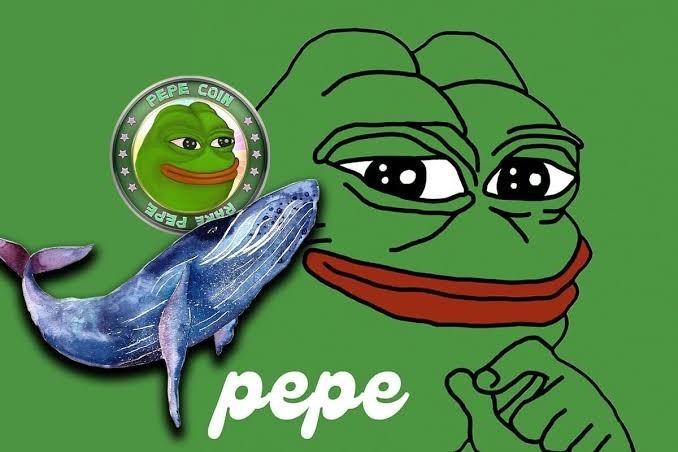 随着鲸鱼向 Bina 存入 2 万亿 PEPE，PEPE 抛售压力加大