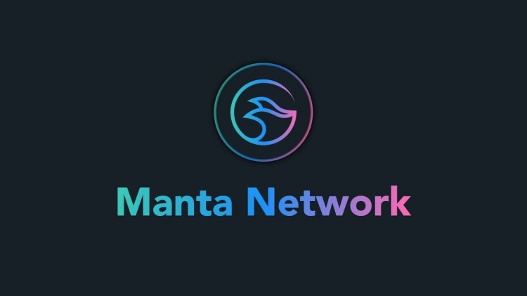 The Manta Token Project: A Manipulative Scheme