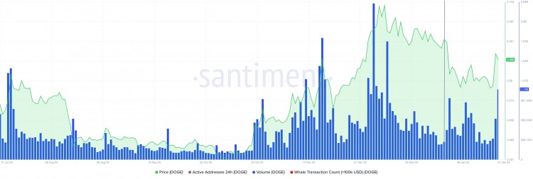 随着X推出专用支付账户狗狗币交易量和社会主导地位将在2024年达到峰值