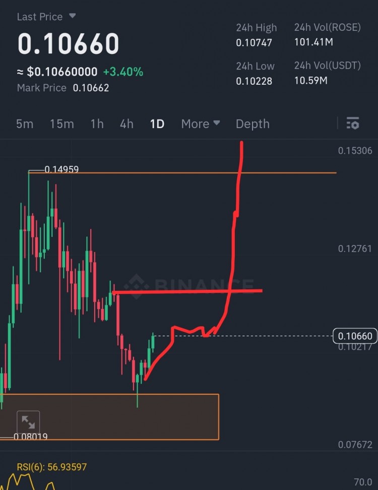 OASISNETWORKROSE长期投资的机会