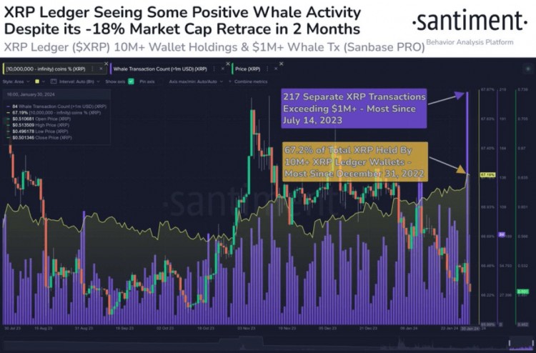 RIPPLE的投资者无需惊慌因为死亡的XRP显示出准备反弹的生命迹象