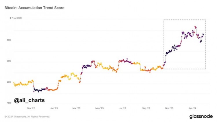 专家分析比特币尚未见底可能重新测试3万美元