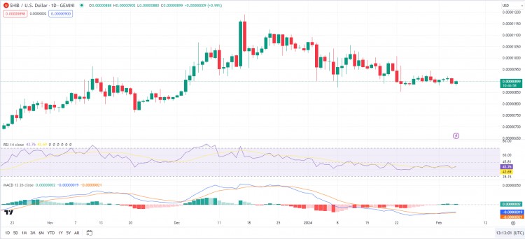 SHIB即将迎来反弹吗关键因素表明未来的积极势头