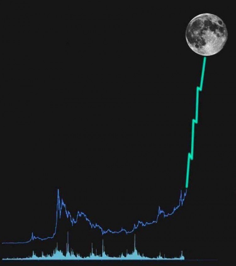 精选币安五种代币DYMRONINPYTHJUPITERALTLAYER对比谁更有潜力