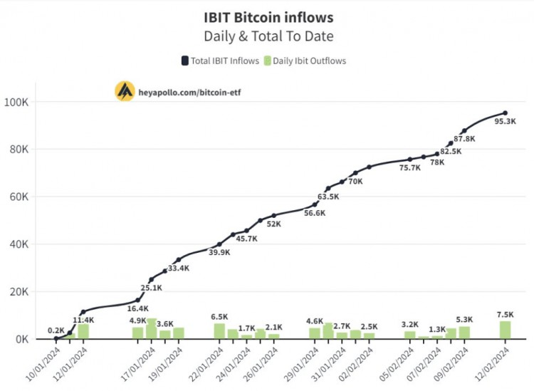 比特币跌破5万美元已经结束分析师分享每个周期都会出现的关键BTC模式