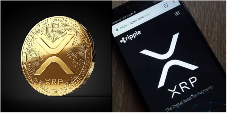 XRP 预测：5 美元在望！顶级分析师的大胆预测