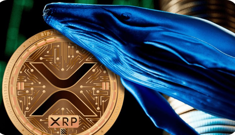 XRP价格关键支撑位触及，鲸鱼转移数百万XRP，市场可能面临挑战。