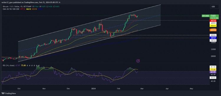 Bitcoin Price Analysis: Price Holds Above $51,500