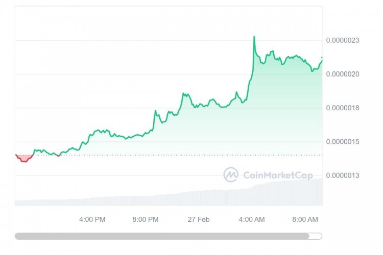 PEPE 加入比特币的疯狂涨势，价格上涨 43%