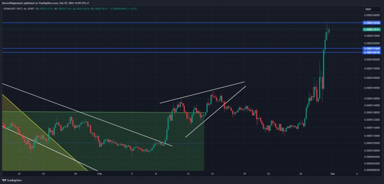 BONK价格预测: 关键时刻，请密切关注！