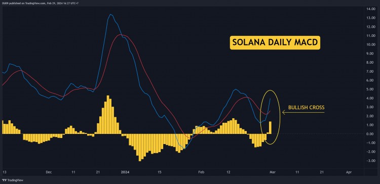 为什么SOLANASOL价格今天上涨