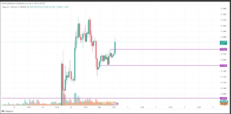 DOGE 3 月价格预测 DOGE/USD