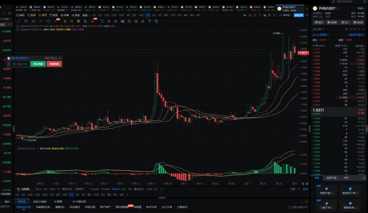 2024年真正的100倍币只有这6个