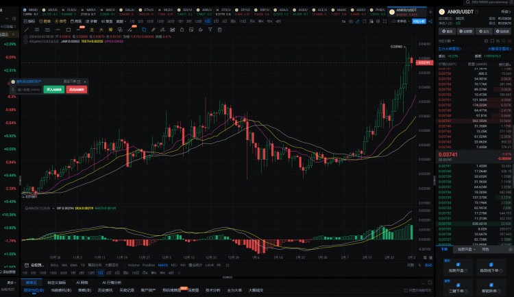 2024年真正的100倍币只有这6个