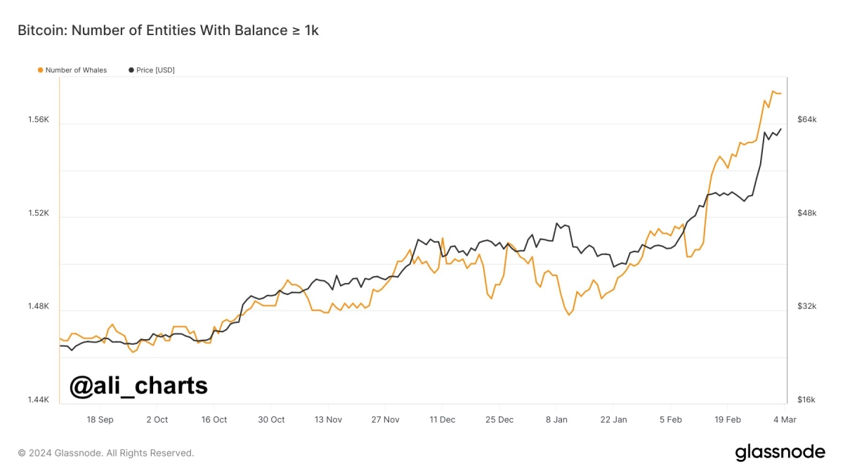 随着鲸鱼数量激增<a title='注册并实名送比特币' href='https://okk.meibanla.com/btc/okex.php' target='_blank' class='f_a'>比特币</a>飙升至67000美元以上