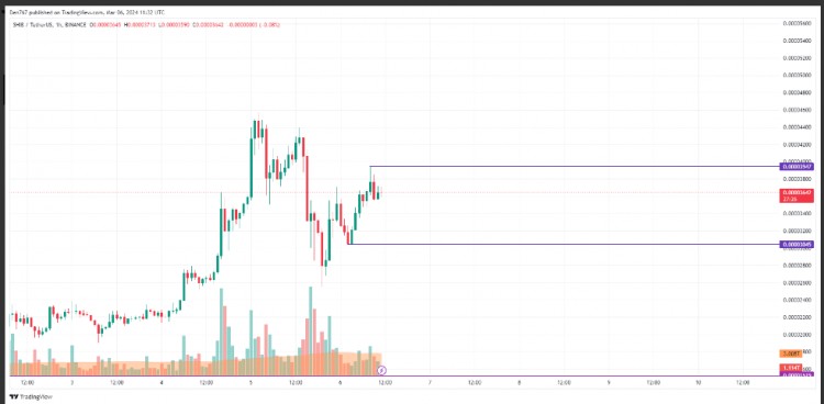 3月6日SHIB价格分析