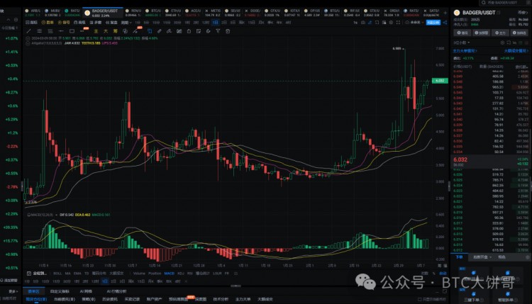 2024年真正的100倍币只有这6种