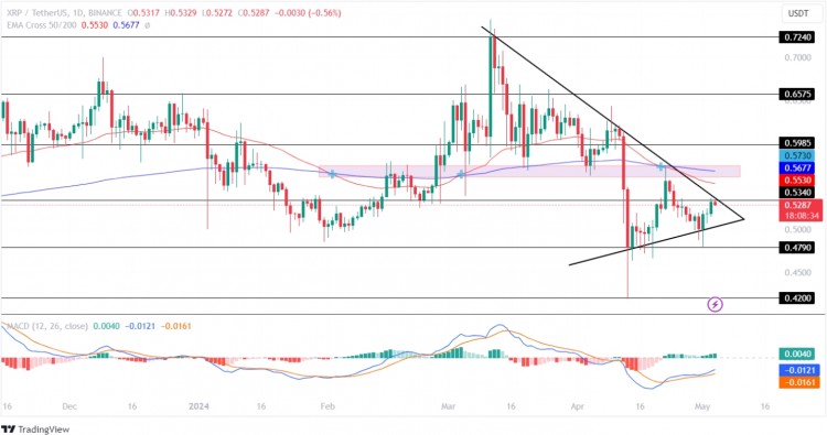 XRP价格记录看涨情绪