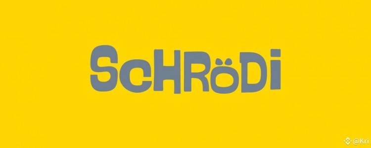 使用SCHRODI探索量子领域革命性的加密代币