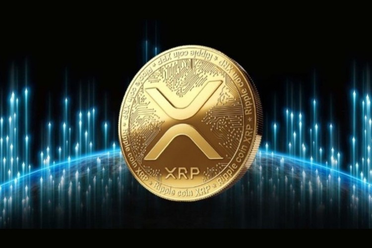 XRP价格接近0.5美元水平，巨鲸转移8700万枚代币，下一步是什么