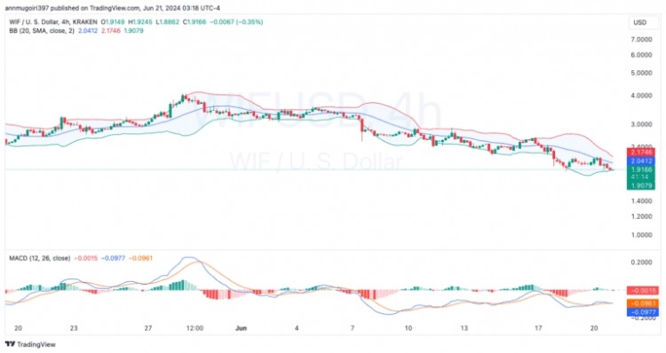 DOGWIFHAT价格今天暴跌的3个原因