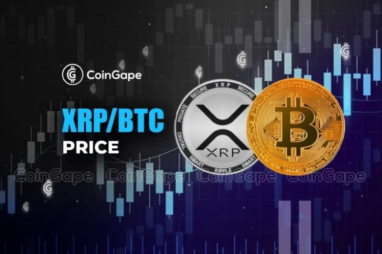 XRP/BTC 预测：比特币鲸鱼流入 XRP 价格涨势放缓