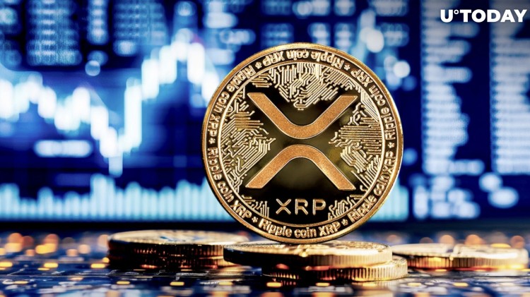 鲸鱼推高 XRP 价格，但存在令人担忧的迹象